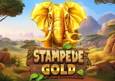 Stampede Gold icon